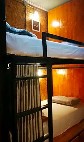 Bunk Bed in Mixed Dormitory Room