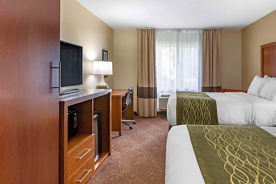 Comfort Inn Okemos
