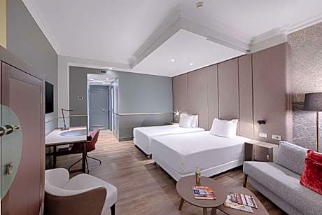 Superior Double or Twin Room XL