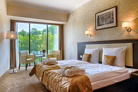 Superior Single Room