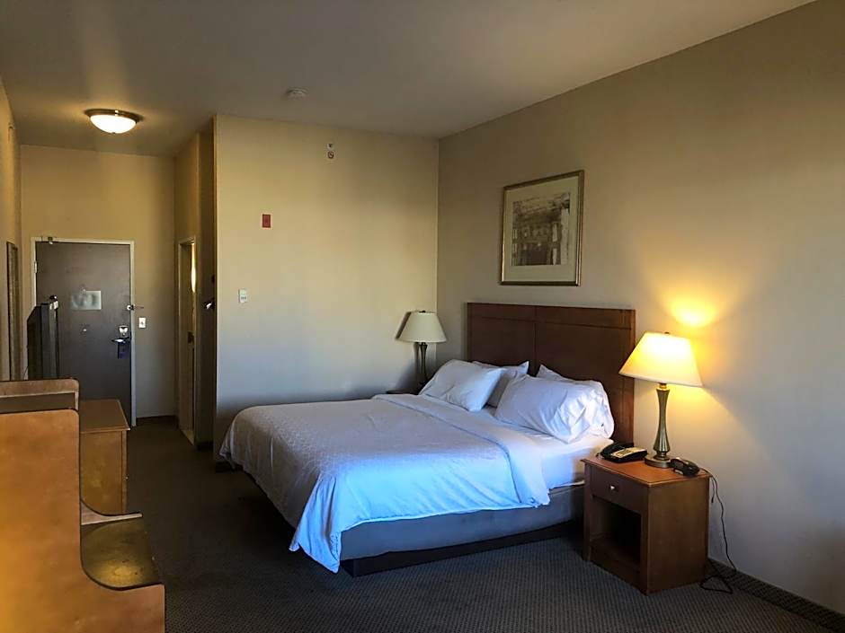 Holiday Inn Express Hotel & Suites Lansing-Dimondale By IHG