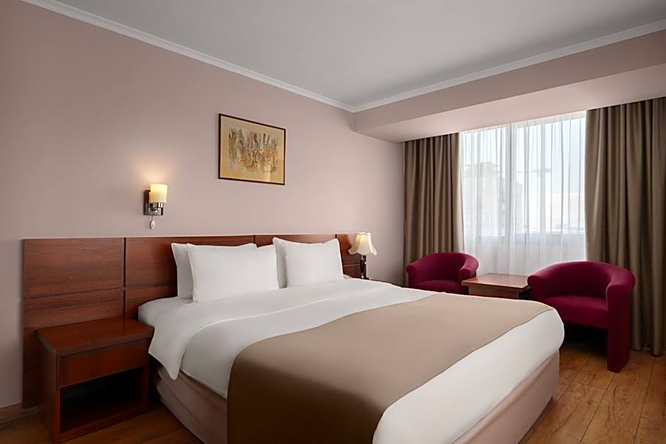 Ani Plaza Hotel
