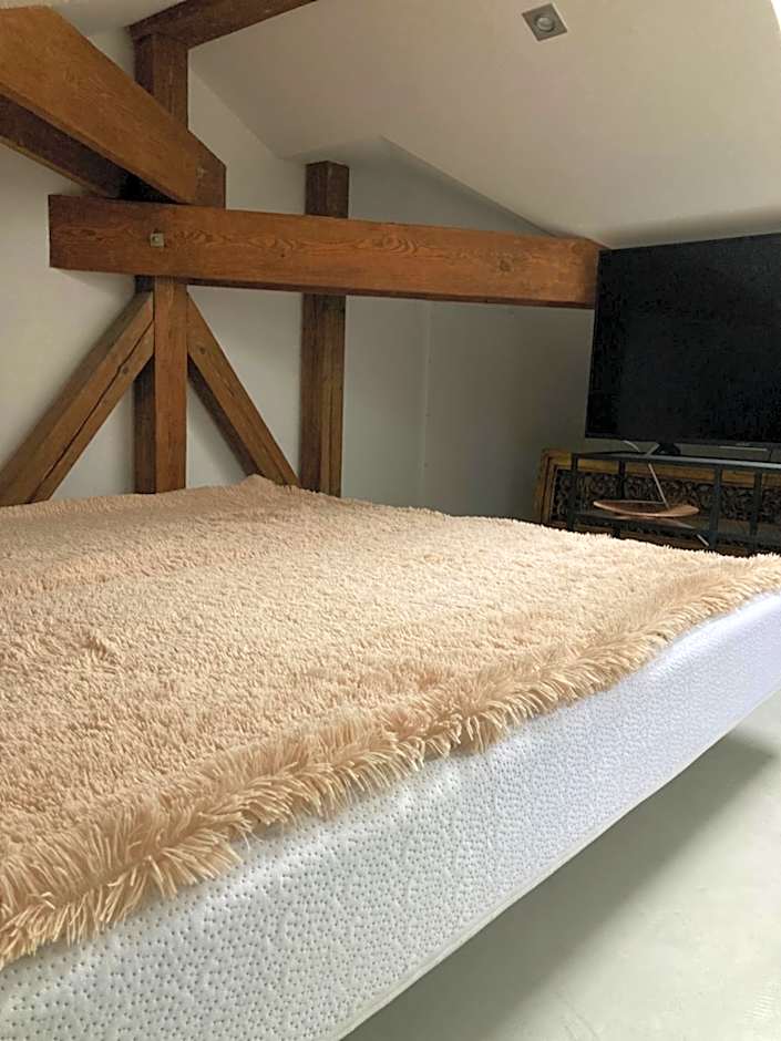 VILLA BRICOLA - Boutique Apartments