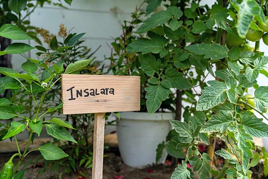 B&B Il Granaio Celeste