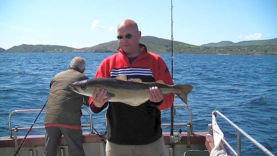 Sneem River Lodge Bed & Breakfast