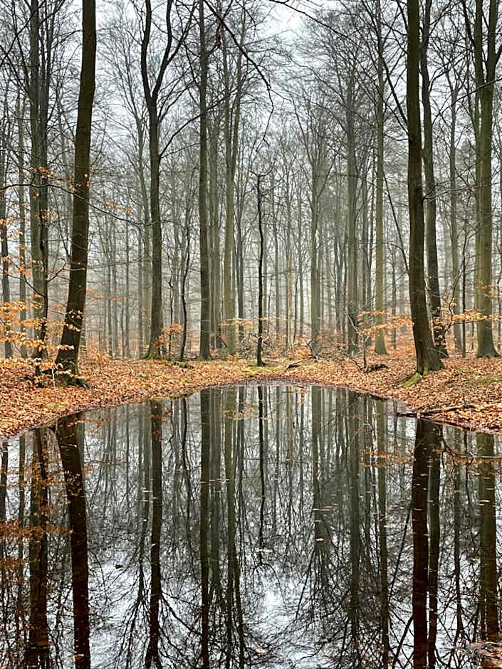 Rørvig Bed & Kitchen