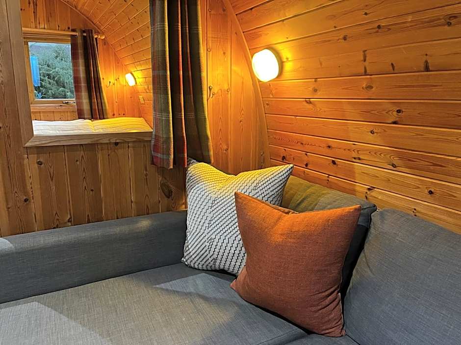 Stoneymollan over Loch Lomond