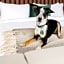 Surety Hotel
