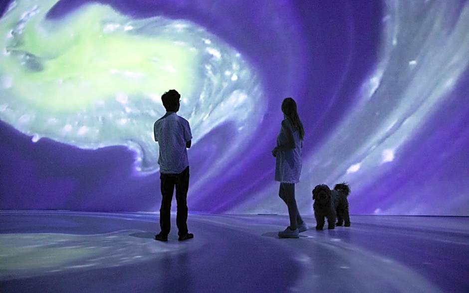 Hotel La Casa de los Árboles Immersive Experience