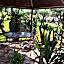 Hotel da Filie'