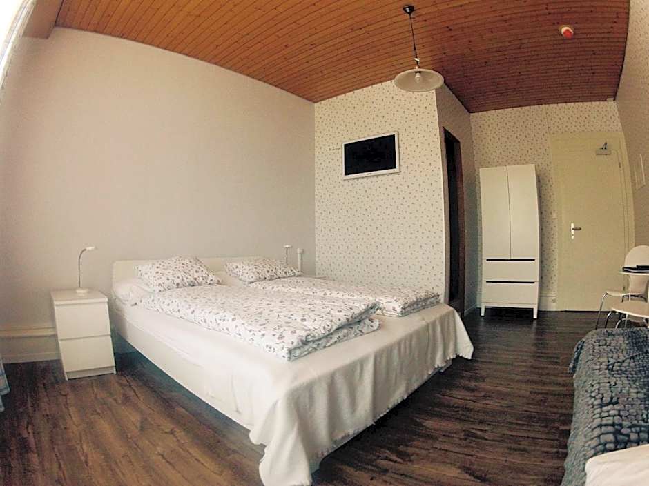 Alpina Hotel
