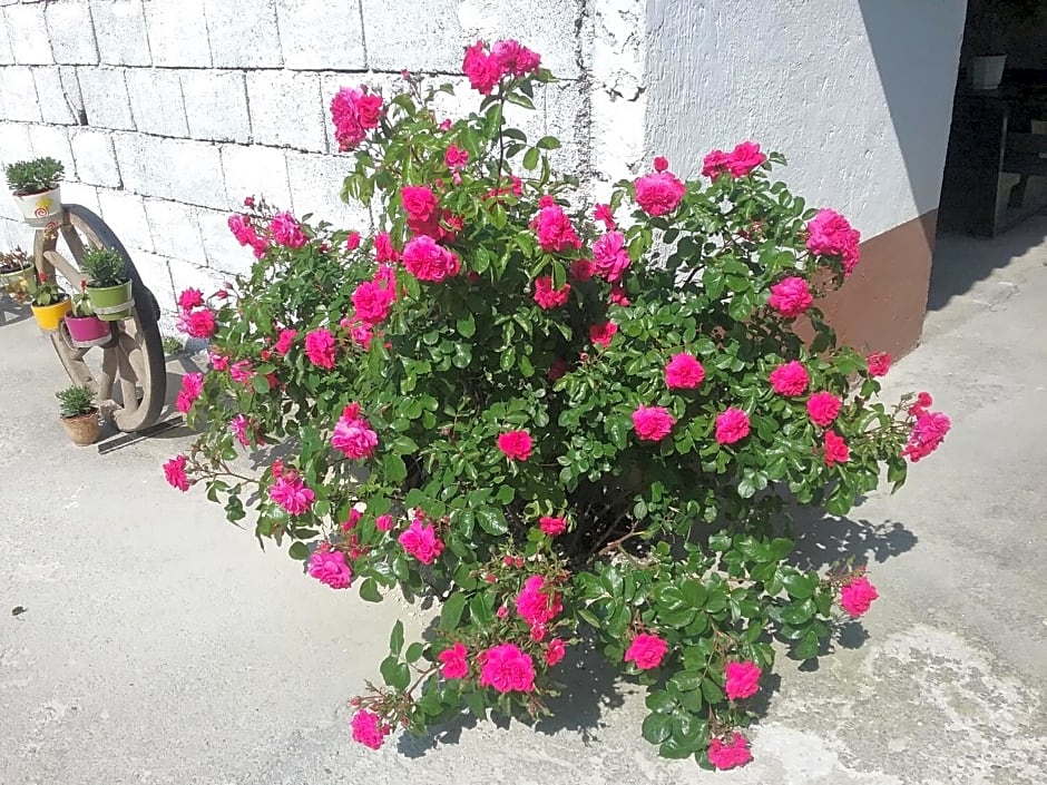 Landhaus Schaidreith