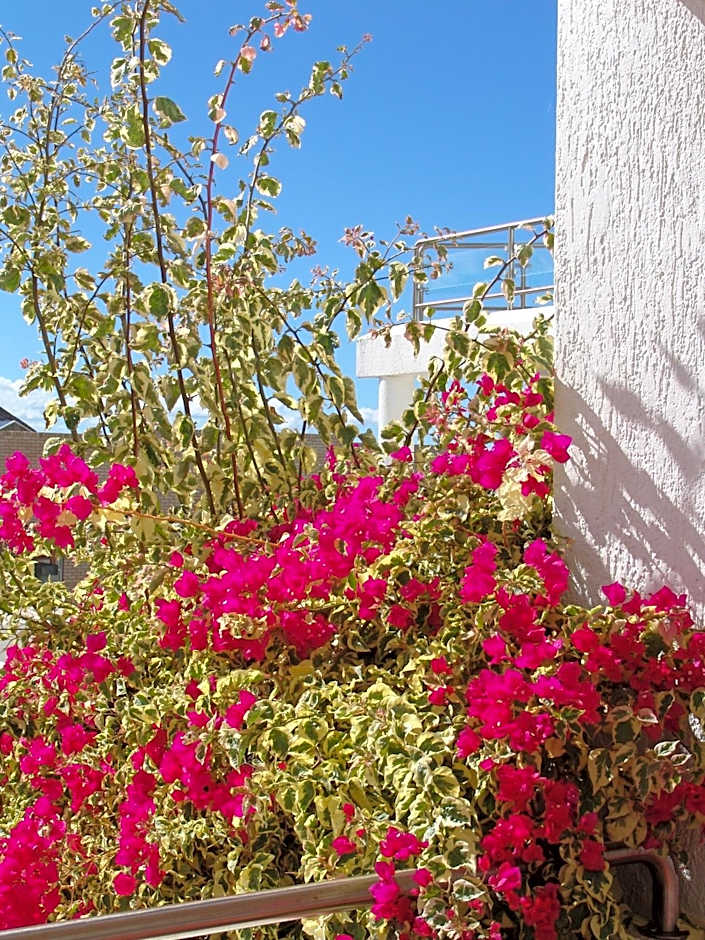 Diaz 15 House on the Bay