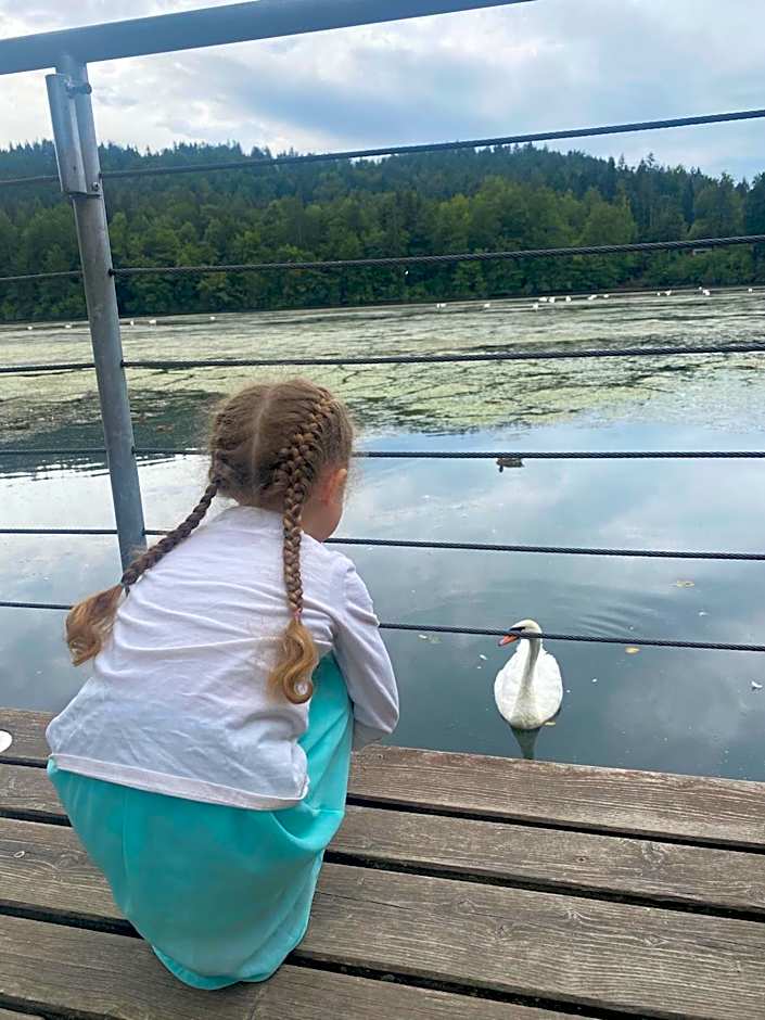 Boutique hotel ZBILJE