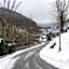 Berghotel-Willingen