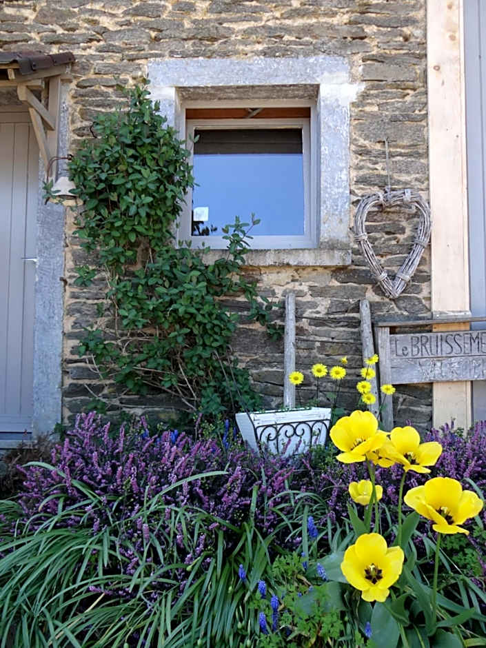 B&B Le bruissement