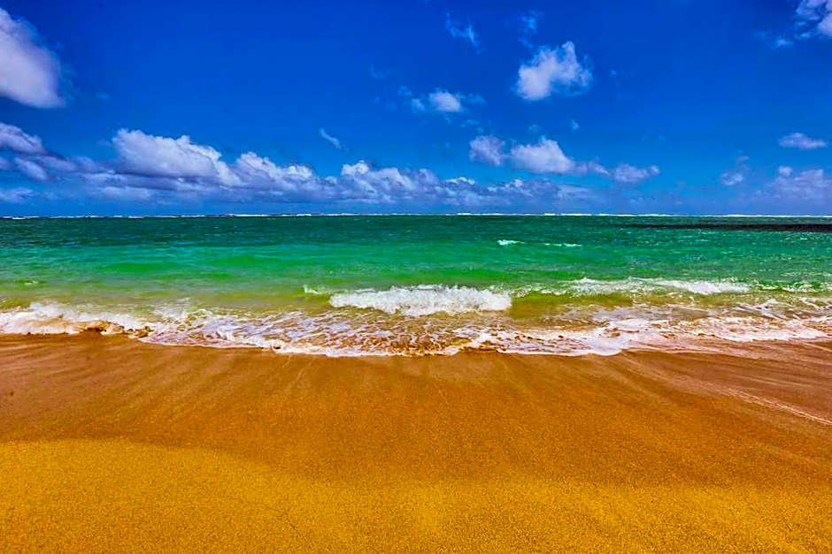 Stunning Ocean Views Condos in Oahu at Punaluu