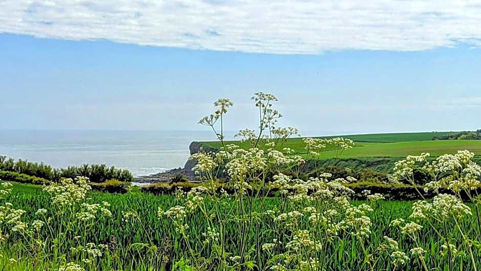 Cober Hill