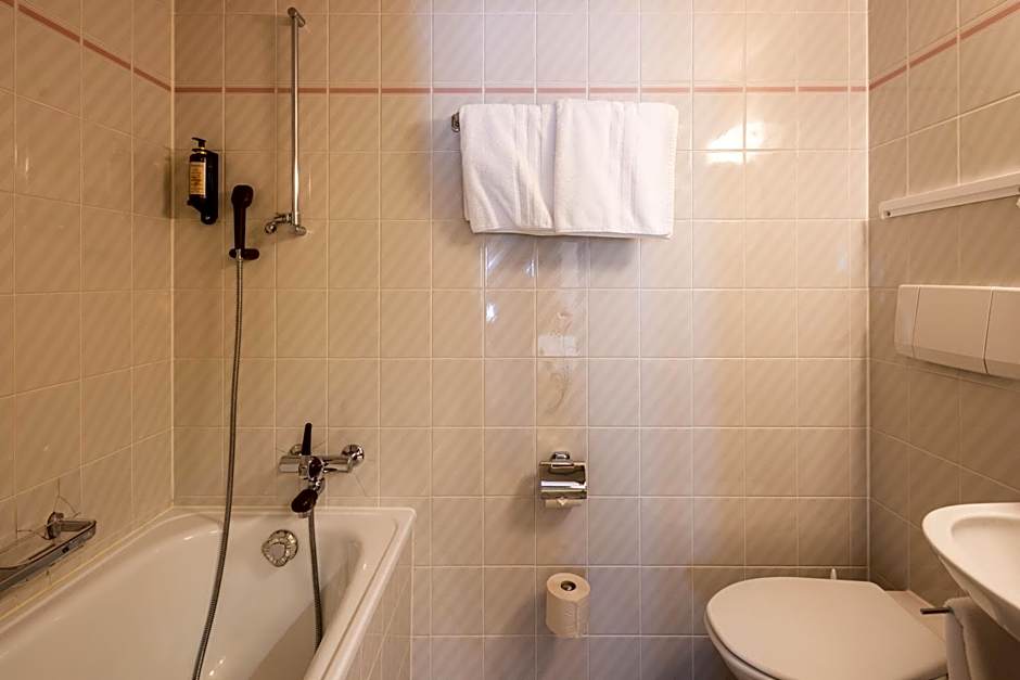 Hotel Alpina