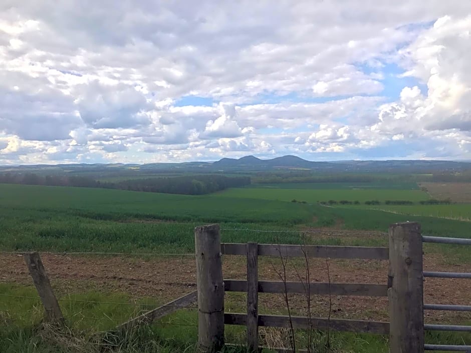 Number 42 @ Lilliardsedge