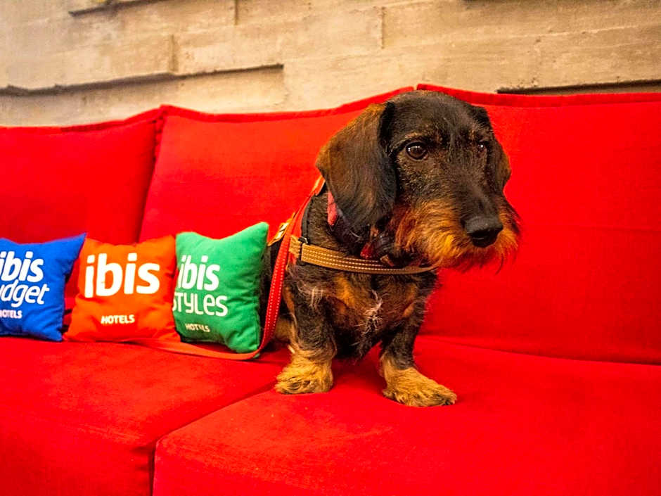 Ibis Merida