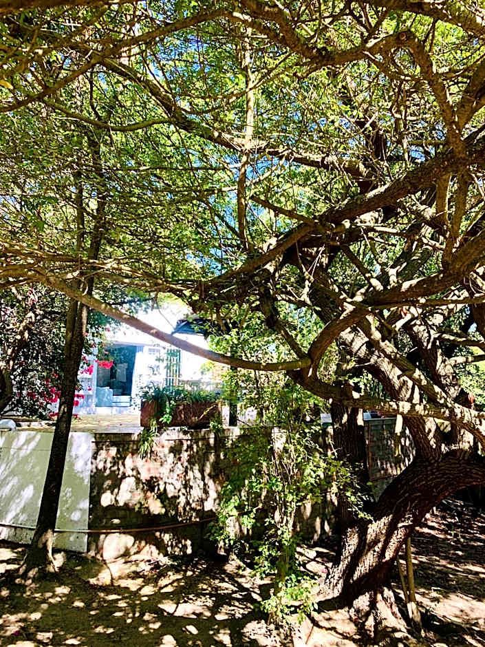 The Little Hideaway Guesthouse