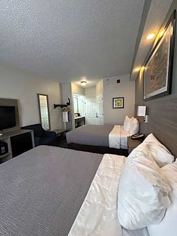 Double Room with Two Double Beds - Non-Smoking