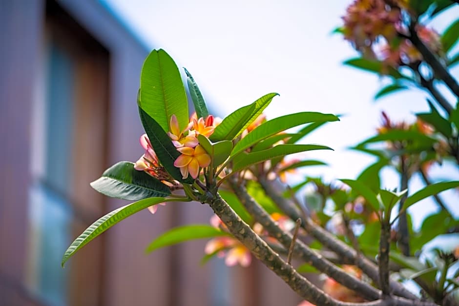 ARTS IN Hotel Conde Carvalhal