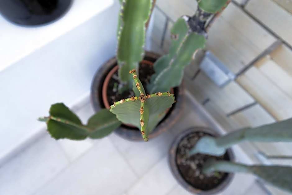 Abalto Suites & Rooms