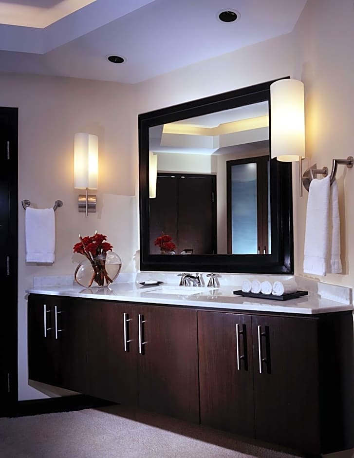 The Condado Plaza Hotel