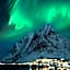 Astra Whale - Waterfront Boutique Hostel in Lofoten