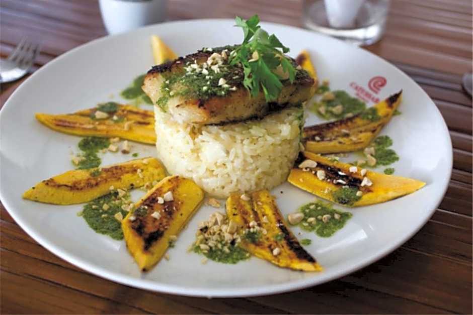 Catussaba Business Hotel