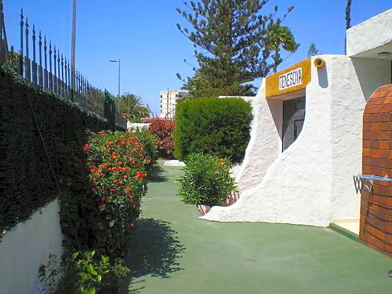 Tenesoya (Gay Men Exclusive)