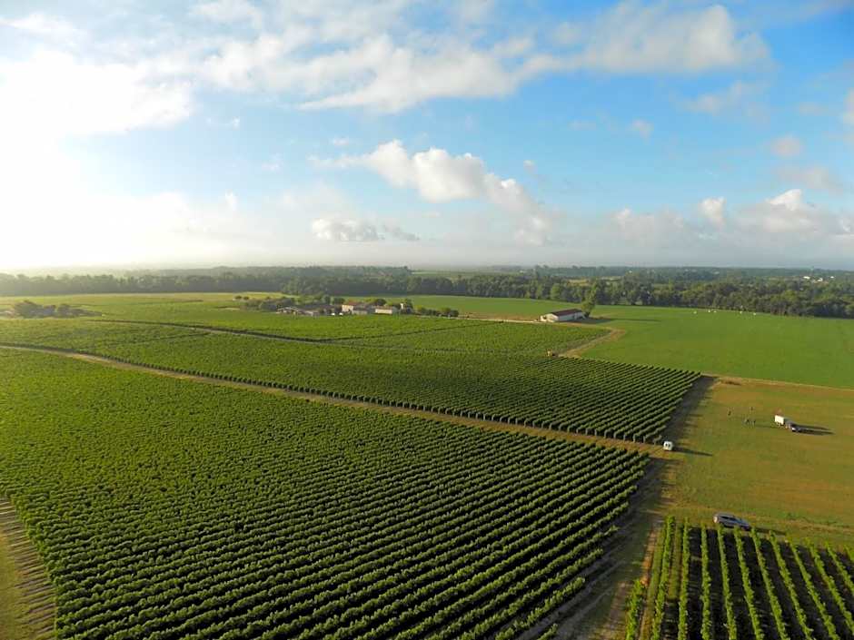 Chambres d'Hôtes Château Pierre de Montignac