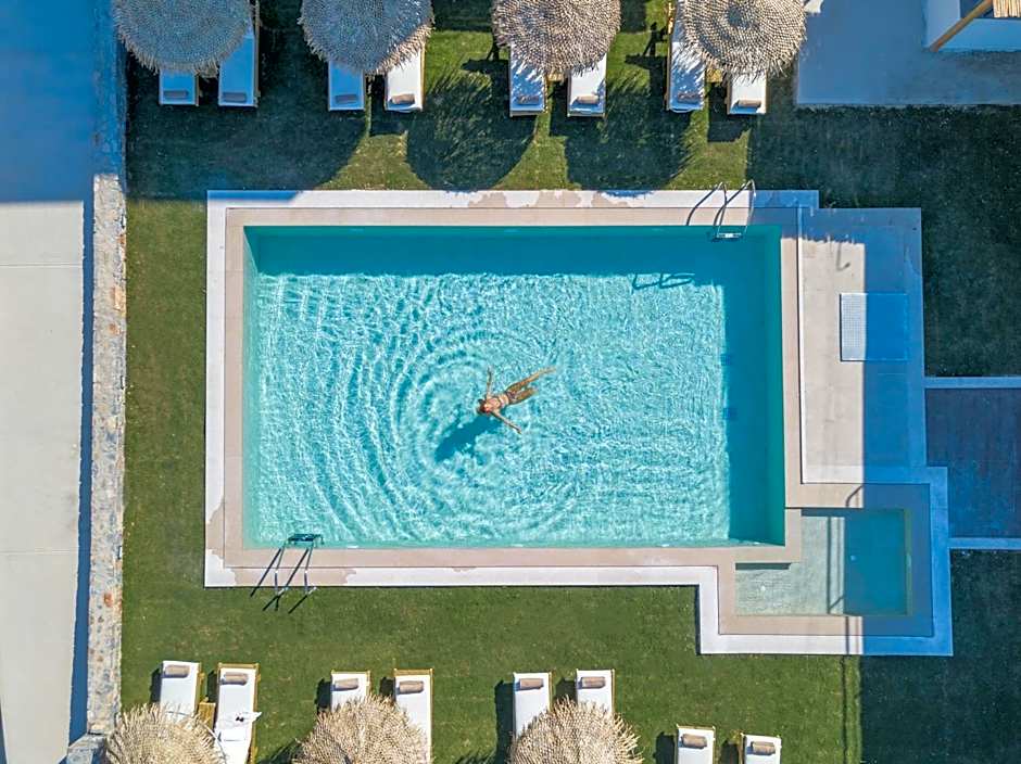 Golden Bee Lifestyle