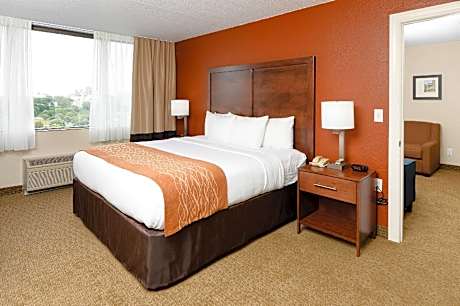 1 King Bed, Suite, Nonsmoking