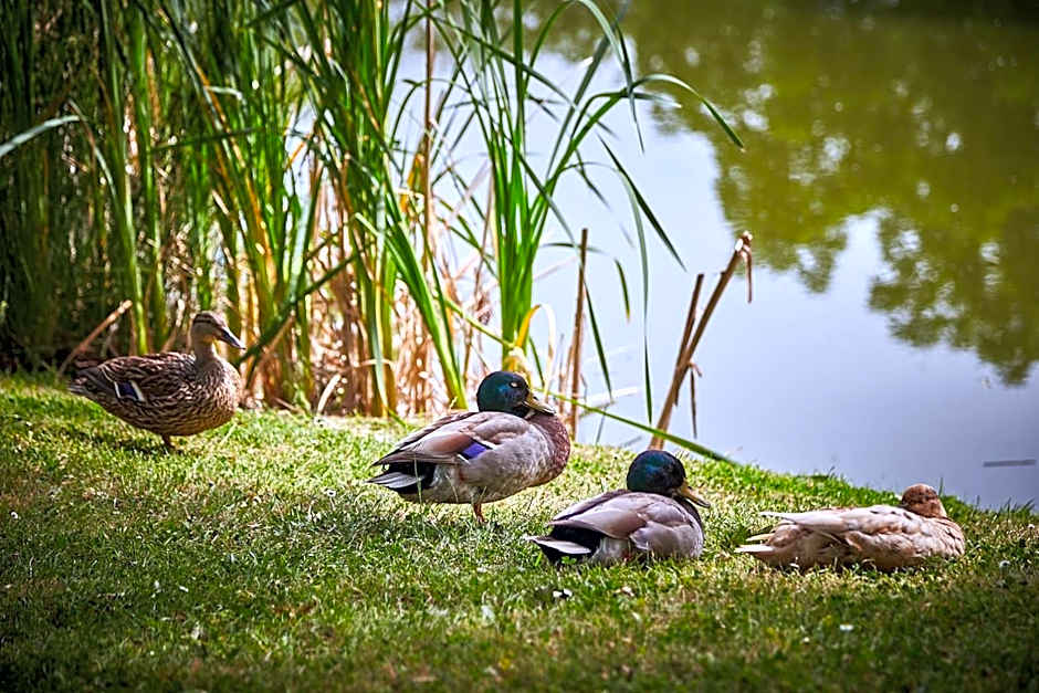 Les Jardins de l'Anjou