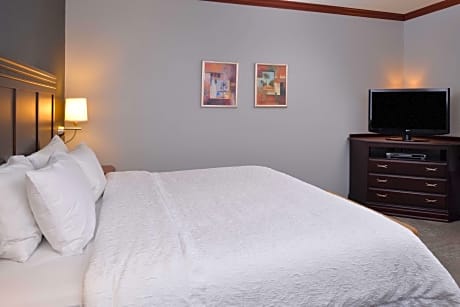 1Kg Mobility/Hearing Access Ri Shwr Studio Ns