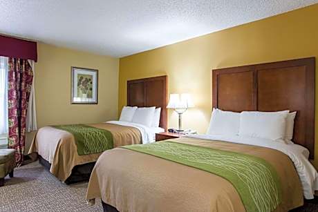 Double Room with Two Double Beds - Non-Smoking