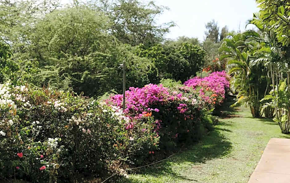 Top 10 Pick! Walk to Beach, Shops, Dining and Pool