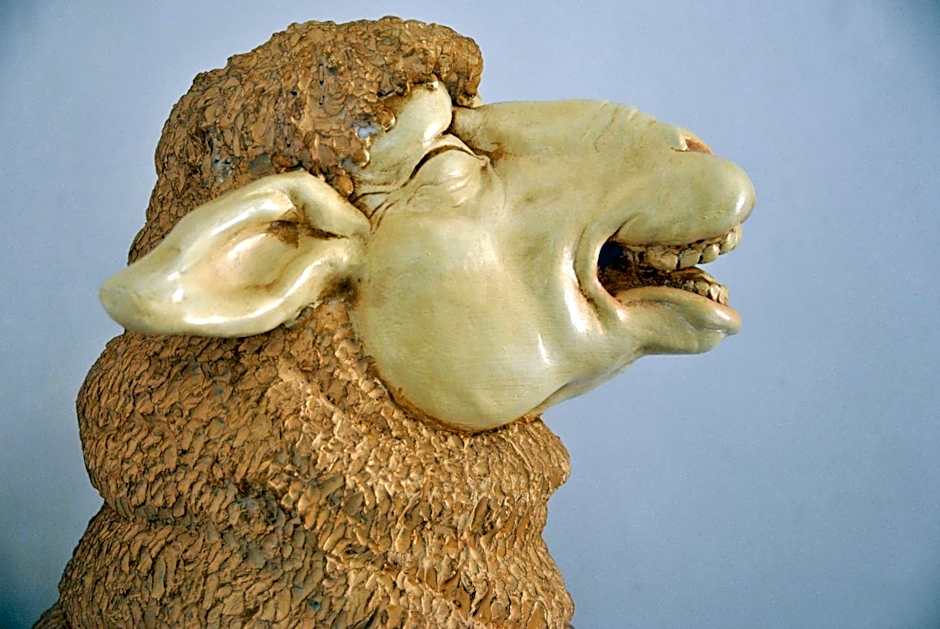 B&B Hoeve de Schapenkop