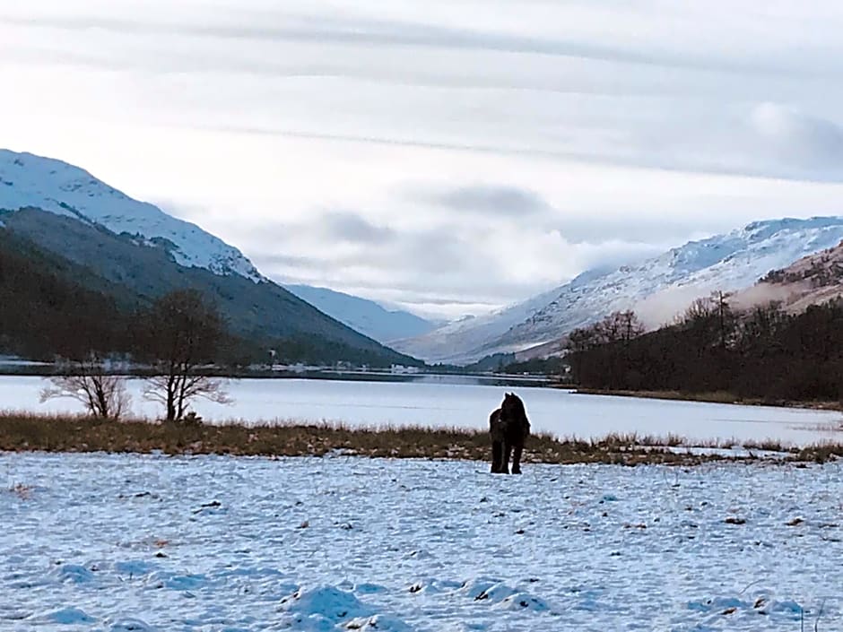Woodside Logcabin Ardoch Lodge