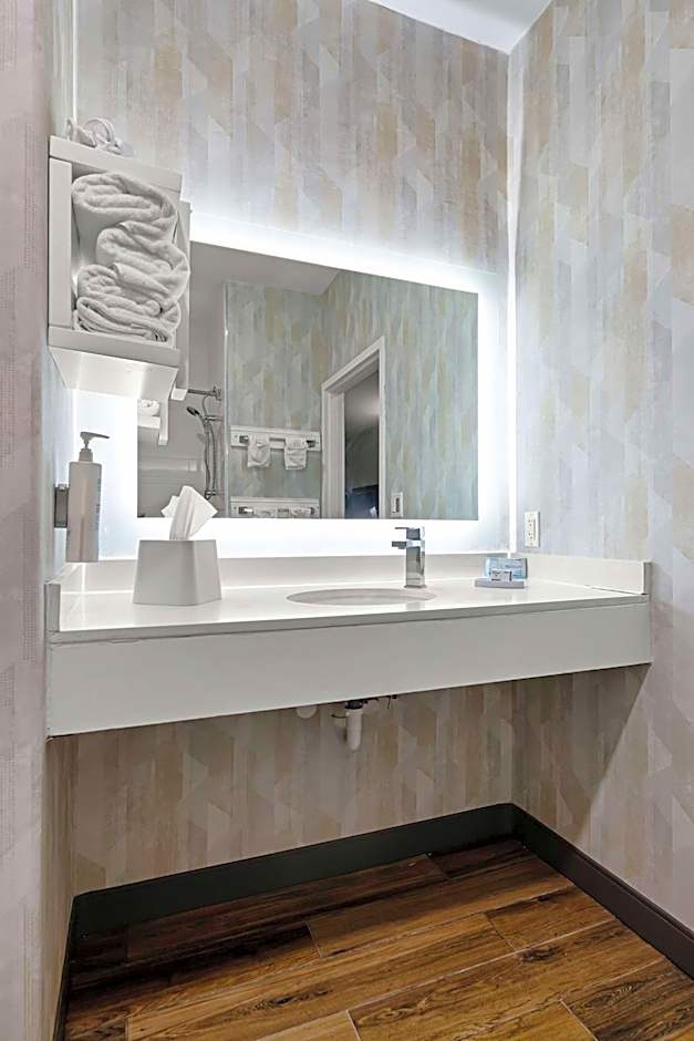 Hampton Inn By Hilton Seguin, Tx