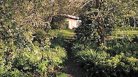 The Cabin