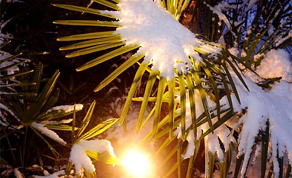 Apparthotel Gartenresidence Nalserhof