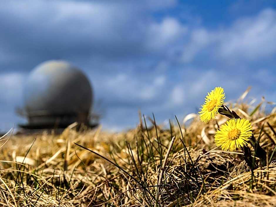 Peterchens Mondfahrt - Wasserkuppe