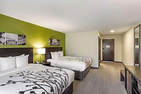 2 Queen Beds, No Smoking, Accessible Room