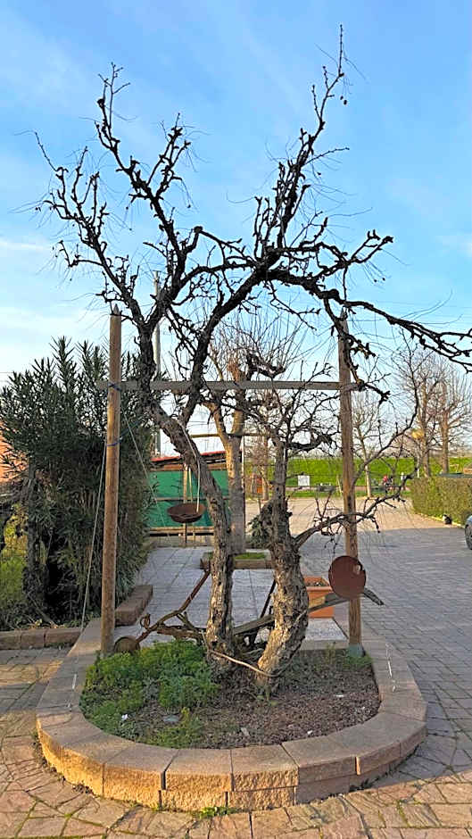 La busa camere e trattoria