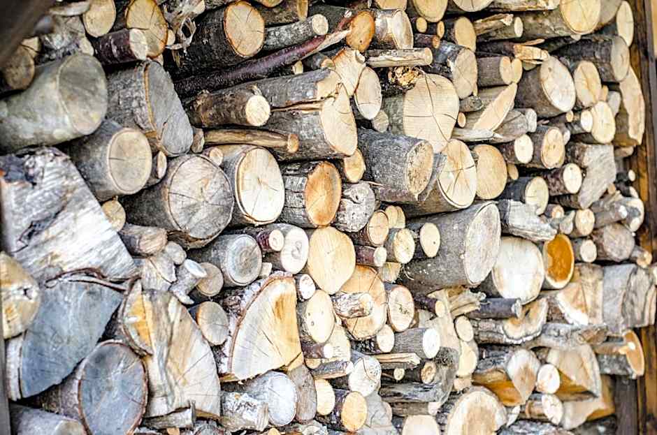 Calmancino delle Selve