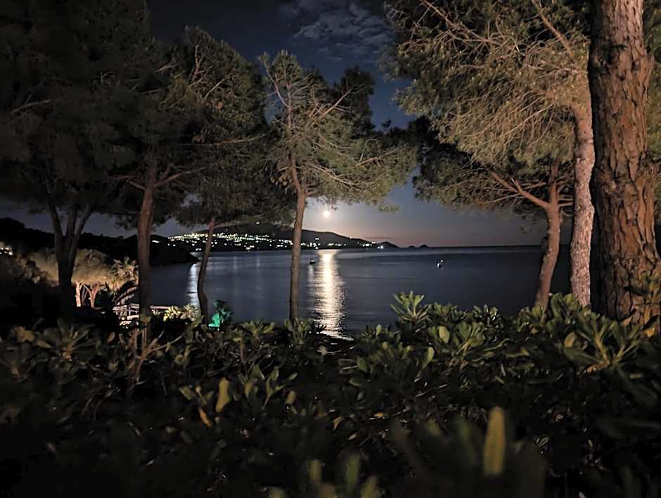 untagged